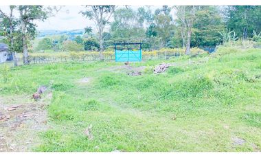 Venta Lote Circasia Quindio - Colombia COD: 6229853