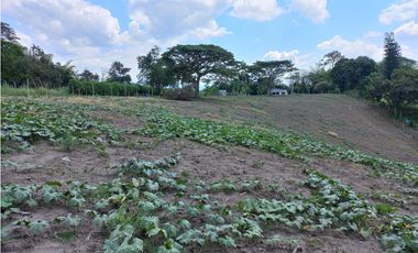 Venta Lote Sur Tebaida Quindio - Colombia COD: 6229940
