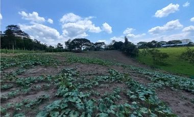 Venta Lote Sur Tebaida Quindio - Colombia COD: 6229940
