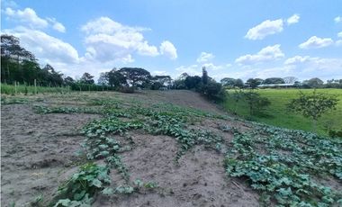 Venta Lote Sur Tebaida Quindio - Colombia COD: 6229940