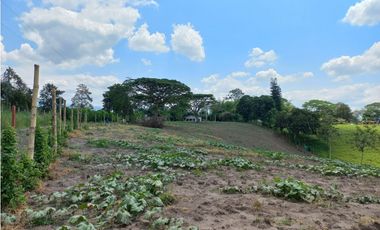 Venta Lote Sur Tebaida Quindio - Colombia COD: 6229940