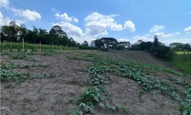 Venta Lote Sur Tebaida Quindio - Colombia COD: 6229940