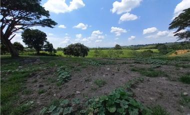Venta Lote Sur Tebaida Quindio - Colombia COD: 6229940