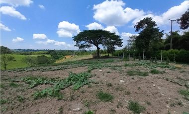 Venta Lote Sur Tebaida Quindio - Colombia COD: 6229940