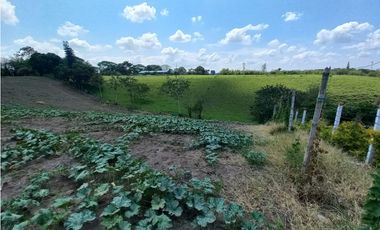 Venta Lote Sur Tebaida Quindio - Colombia COD: 6229940