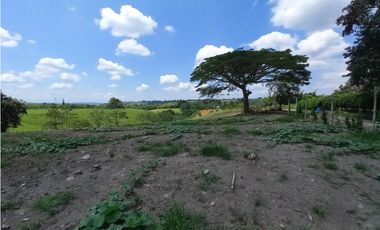 Venta Lote Sur Tebaida Quindio - Colombia COD: 6229940