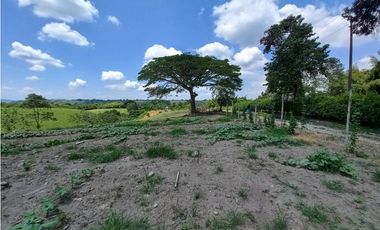 Venta Lote Sur Tebaida Quindio - Colombia COD: 6229940