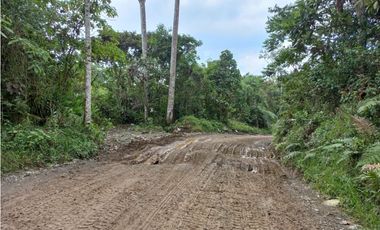 Venta Lote Sur Tebaida Quindio - Colombia COD: 6229940