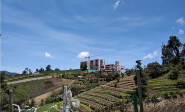 Lote para desarrollar