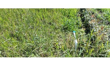 SE VENDE LOTE EN CONDOMINIO MADRIGAL MESA LOS SANTOS SANTANDER