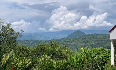 VENTA FINCA TMESIS, SUROESTE ANTIOQUEÑO