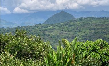 VENTA FINCA TMESIS, SUROESTE ANTIOQUEÑO