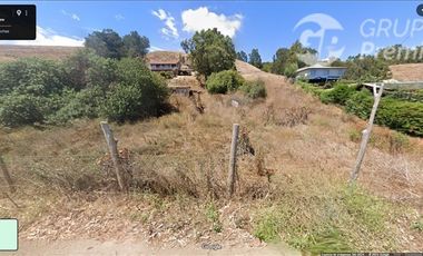 Agrícola en Venta en Sexta Región