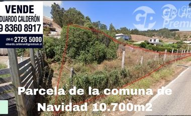 Agrícola en Venta en Sexta Región