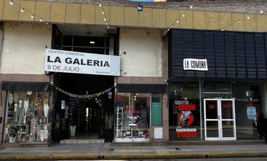 SE VENDE GRAN LOCAL EN EL CENTRO DE SANTA FE