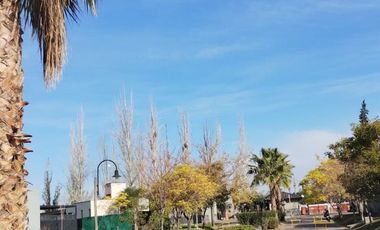Ultimo Lote del Barrio Liceo Rugby II