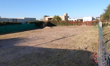 Ultimo Lote del Barrio Liceo Rugby II