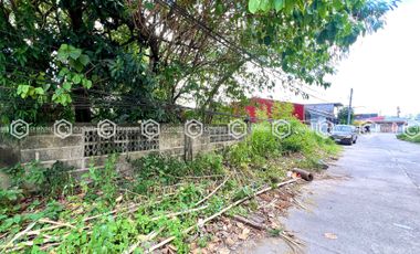 Build Your Dream Home – 450 sqm Lot in Angeles Location