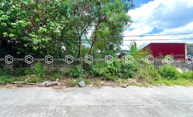 Build Your Dream Home – 450 sqm Lot in Angeles Location