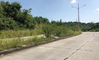 EXCELENTE TERRENO EN ALQUILER 17.000M2 VÍA A DAULE.