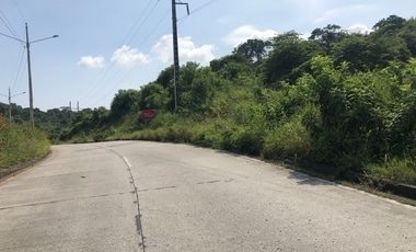 EXCELENTE TERRENO EN ALQUILER 17.000M2 VÍA A DAULE.
