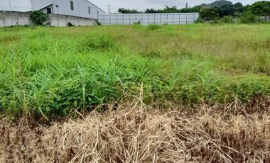 Terreno en Alquiler rellenado y compactado 6000m2 Via Daule