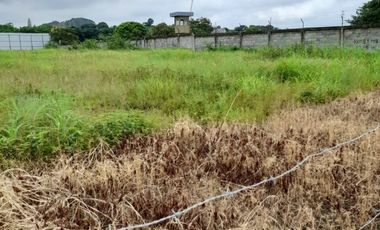 Terreno en Alquiler rellenado y compactado 6000m2 Via Daule