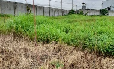 Terreno en Alquiler rellenado y compactado 6000m2 Via Daule