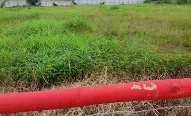 Terreno en Alquiler rellenado y compactado 6000m2 Via Daule