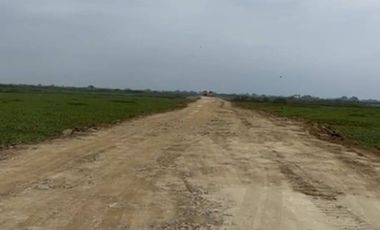 Terreno industrial en venta 51,888m2- Av. Miguel Yunes, Vía a Samborondón