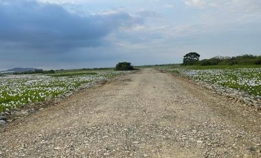 Terreno industrial en venta 51,888m2- Av. Miguel Yunes, Vía a Samborondón