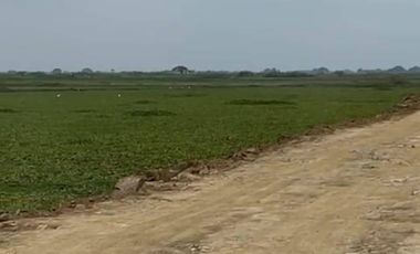 Terreno industrial en venta 51,888m2- Av. Miguel Yunes, Vía a Samborondón