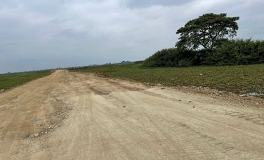 Terreno industrial en venta 51,888m2- Av. Miguel Yunes, Vía a Samborondón