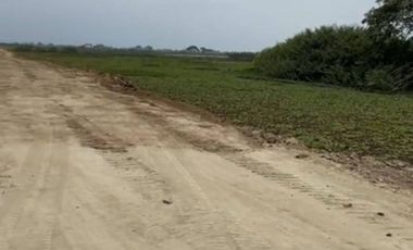 Terreno industrial en venta 51,888m2- Av. Miguel Yunes, Vía a Samborondón