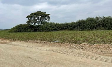 Terreno industrial en venta 51,888m2- Av. Miguel Yunes, Vía a Samborondón