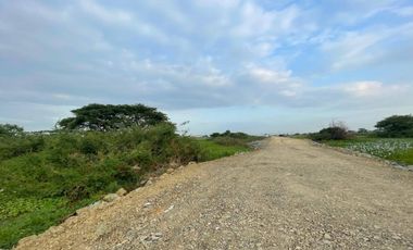 Terreno industrial en venta 51,888m2- Av. Miguel Yunes, Vía a Samborondón