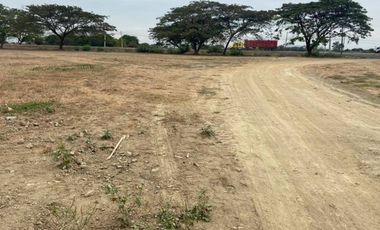 EN VENTA TERRENO 5000M2- VIA AL PAN- AL PIE DE LA VÍA PRINCIPAL