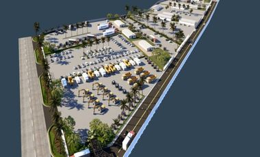 EN VENTA TERRENO 5000M2- VIA AL PAN- AL PIE DE LA VÍA PRINCIPAL