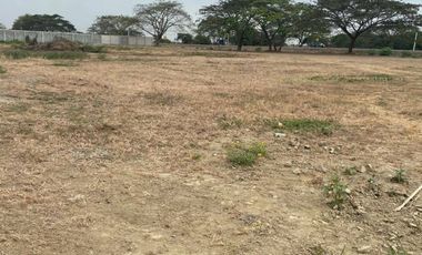 EN VENTA TERRENO 5000M2- VIA AL PAN- AL PIE DE LA VÍA PRINCIPAL