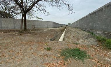 EN VENTA TERRENO 5000M2- VÍA AL PAN - CERCA DE LA VÍA PRINCIPAL
