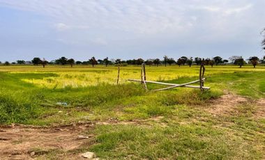 Atención inversionistas!! En Venta terreno 20000m2 - Vía a Samborondon