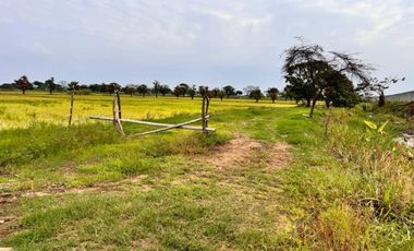 Atención inversionistas!! En Venta terreno 20000m2 - Vía a Samborondon