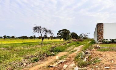 Atención inversionistas!! En Venta terreno 40000m2 - Vía a Samborondon