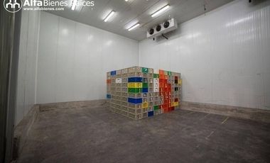 Se alquila Bodega con cámaras de frio 1198,8m2 - Norte de Quito