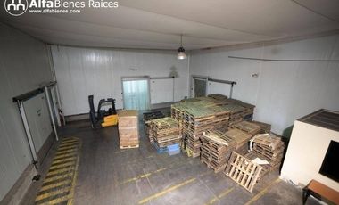Se alquila Bodega con Cámaras de frio- 1.551m2 útiles  - Norte de Quito
