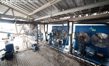 Se alquila Bodega con Cámaras de frio- 1.551m2 útiles  - Norte de Quito