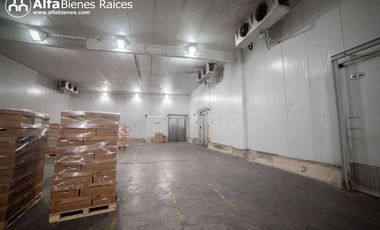 Se alquila Bodega con Cámaras de frio- 1.551m2 útiles  - Norte de Quito