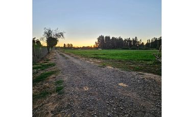Parcela casa y negocio de Ensueño