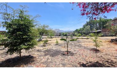 QUINTA O TERRAZA LA CALZONUDA, 2708 m2 SAHUAYO MICHOACAN
