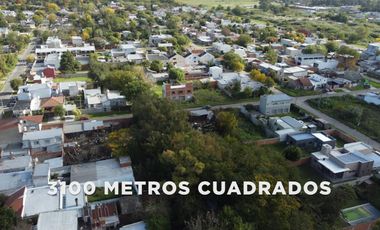 Galpón en  139 entre 39 y 40